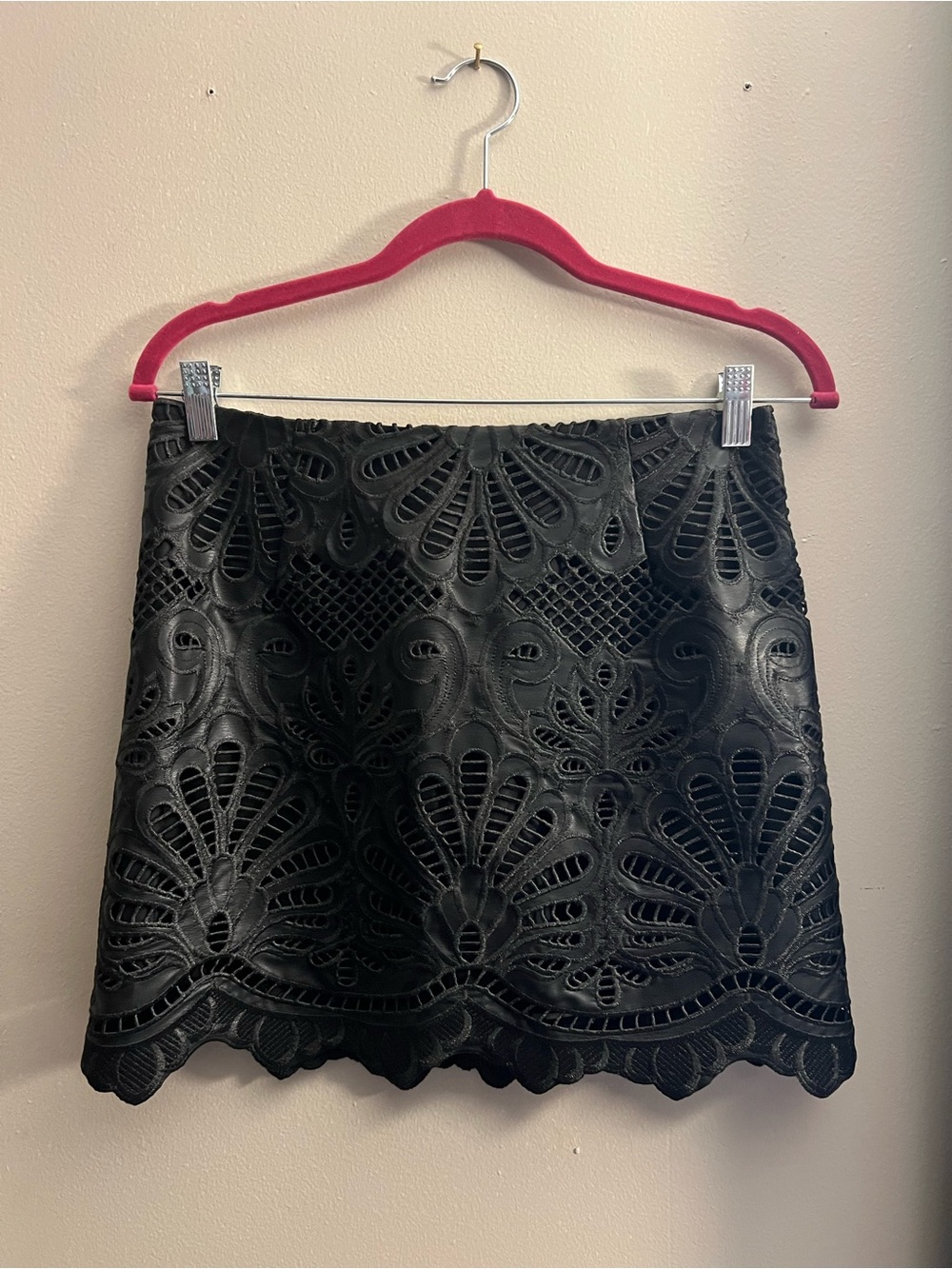 Eyelet Embroidery Mini Skirt